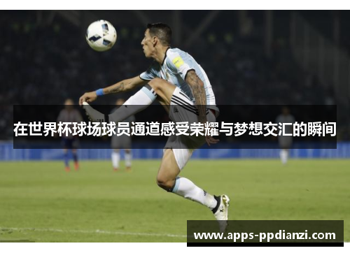 在世界杯球场球员通道感受荣耀与梦想交汇的瞬间