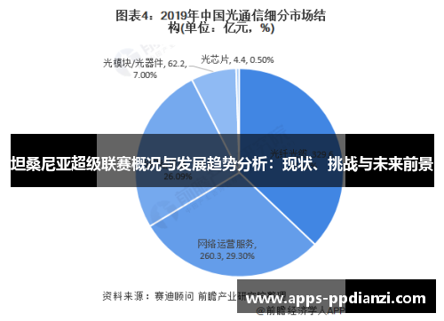 坦桑尼亚超级联赛概况与发展趋势分析：现状、挑战与未来前景