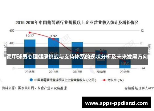 德甲球员心理健康挑战与支持体系的现状分析及未来发展方向