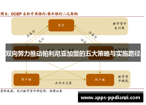 双向努力推动帕利尼亚加盟的五大策略与实施路径