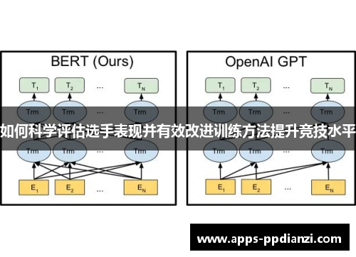 如何科学评估选手表现并有效改进训练方法提升竞技水平