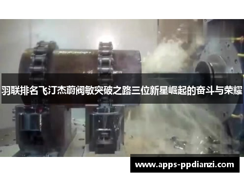 羽联排名飞汀杰蔚阀敏突破之路三位新星崛起的奋斗与荣耀