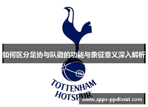 如何区分足协与队徽的功能与象征意义深入解析 如何区分足协与队徽的功能与象征意义深入解析