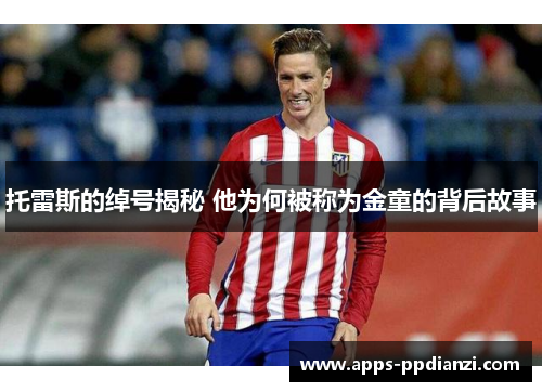 托雷斯的绰号揭秘 他为何被称为金童的背后故事