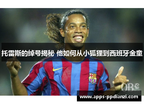 托雷斯的绰号揭秘 他如何从小狐狸到西班牙金童