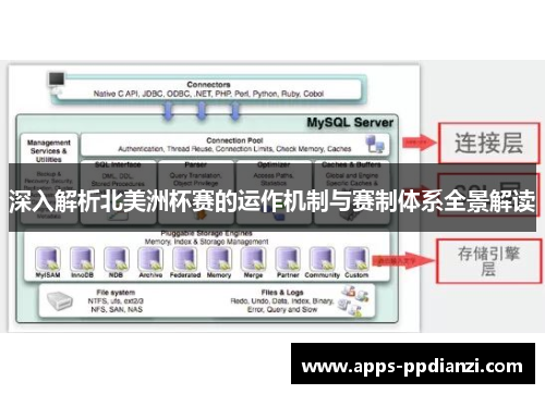 深入解析北美洲杯赛的运作机制与赛制体系全景解读